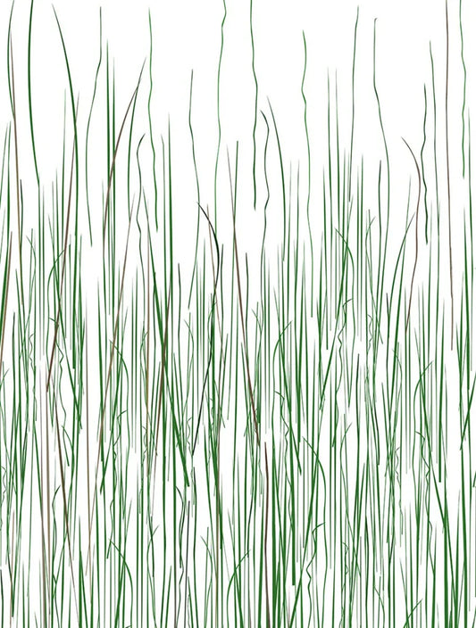 Mountain Grass