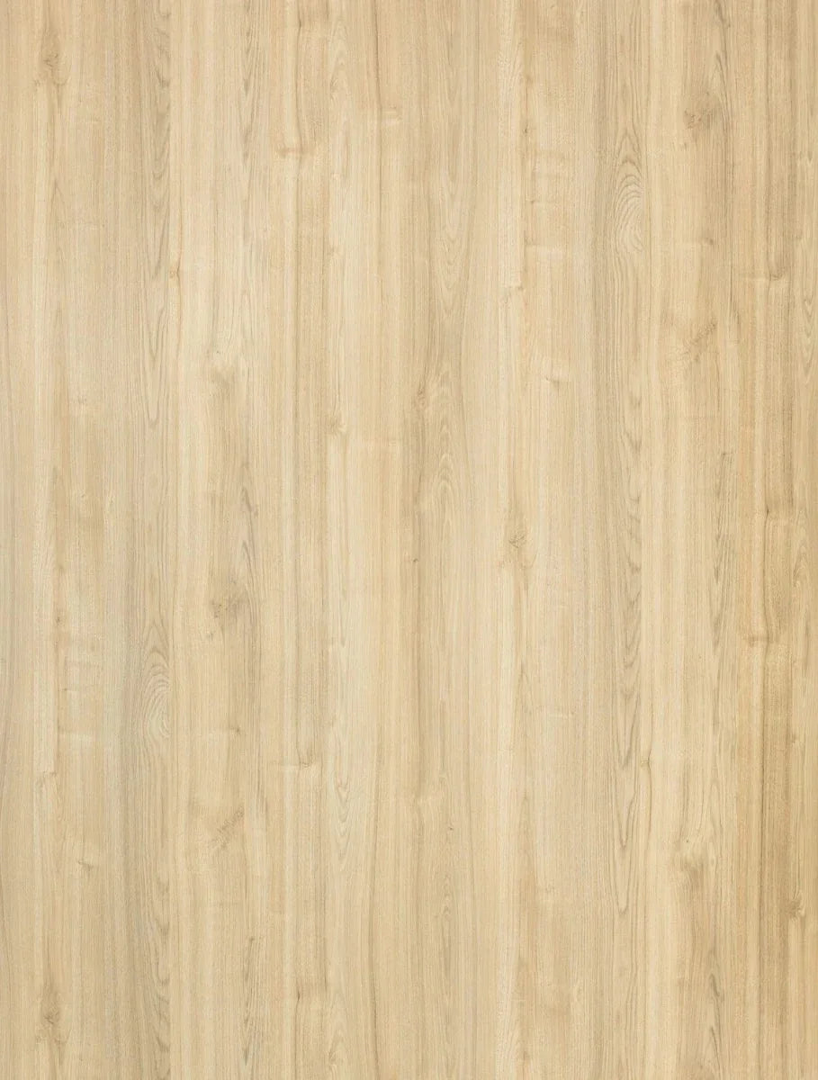 1012 Narrowed Leaved Elm