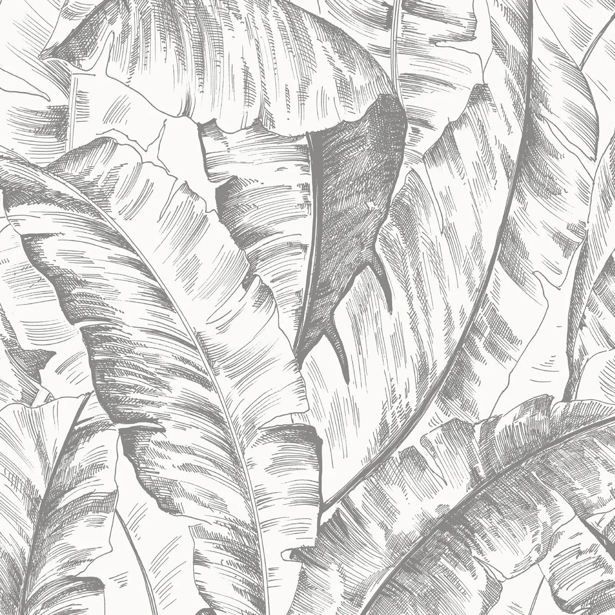 Palm Sketch