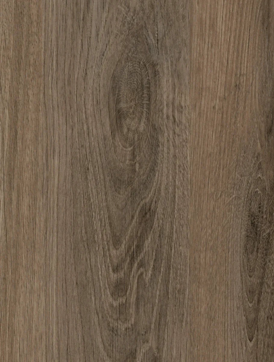 Palomino Oak