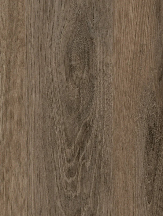 Palomino Oak