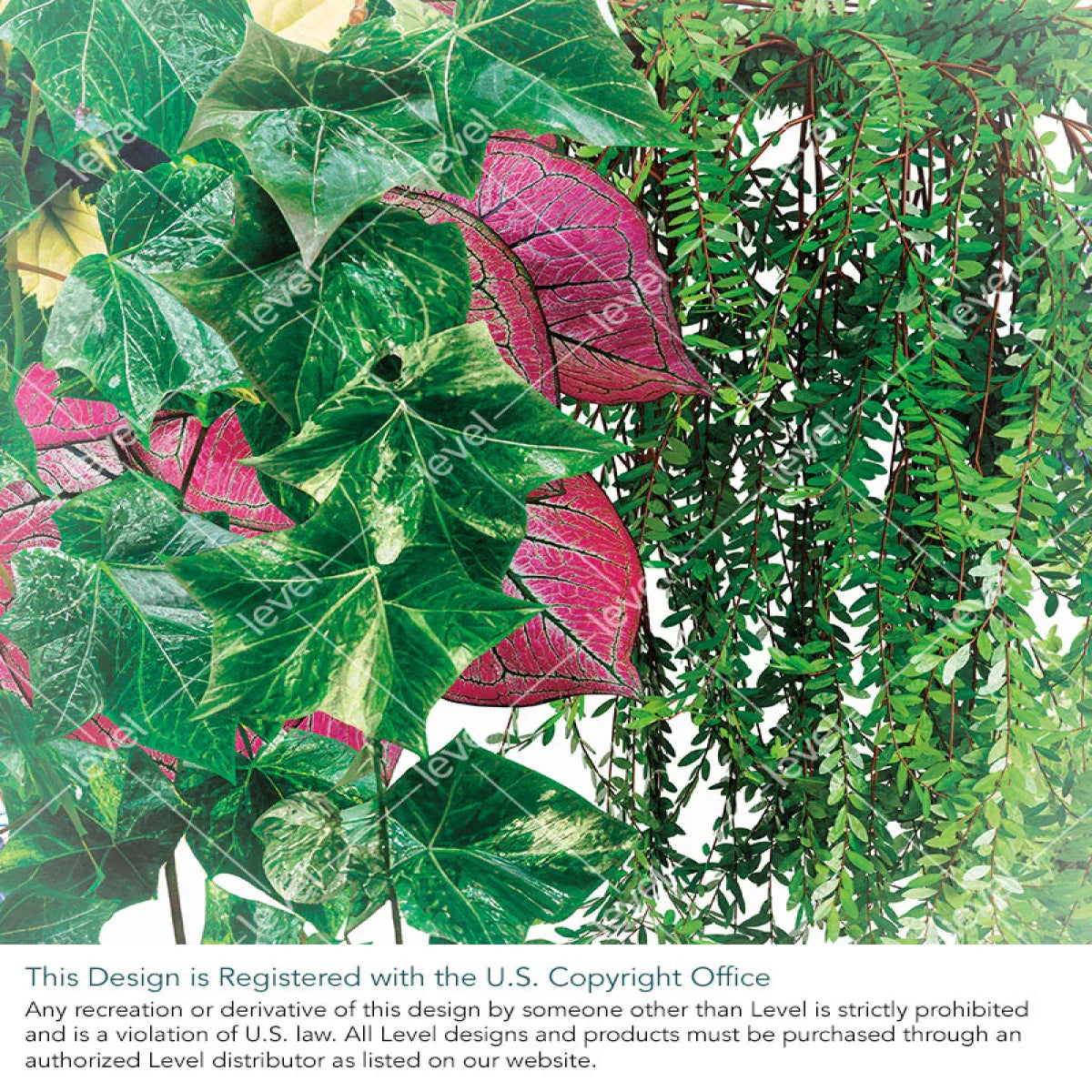 Plant Wall