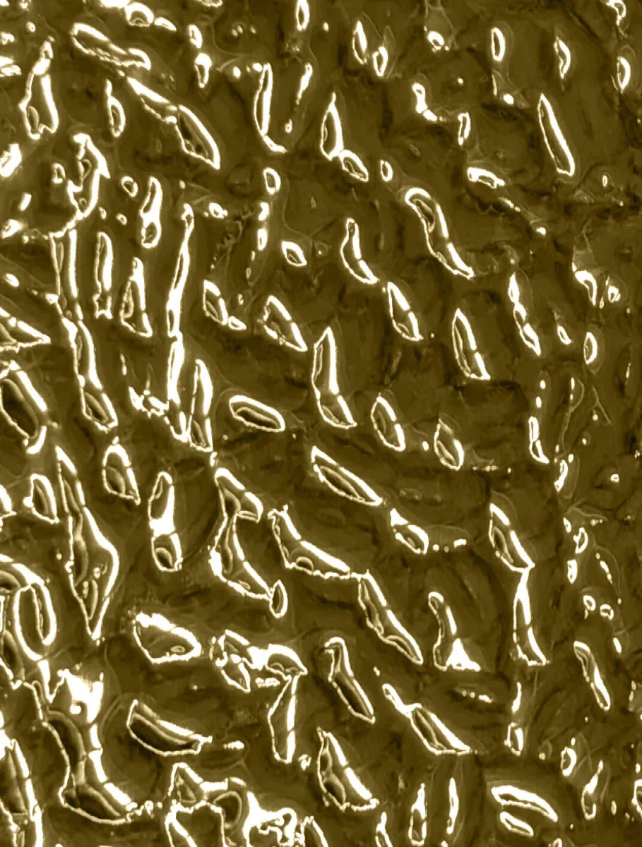 Polished Brass Ocean