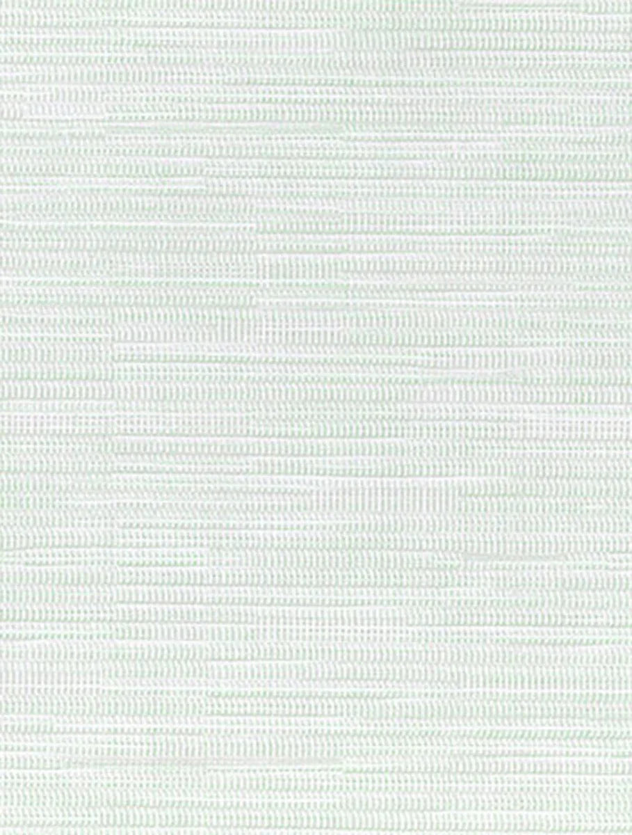 PW-031 Bianco Mesh
