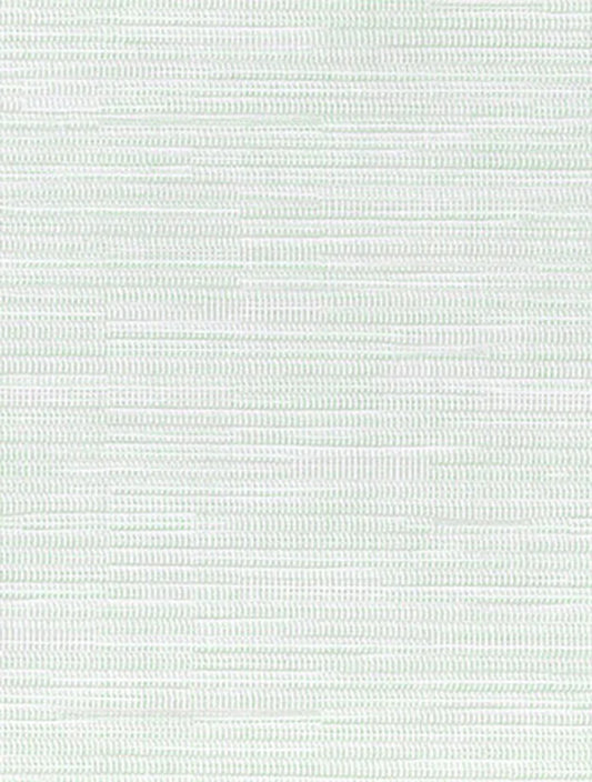 PW-031 Bianco Mesh