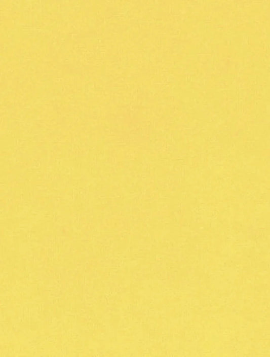 PY-200 Yellow Fabrique