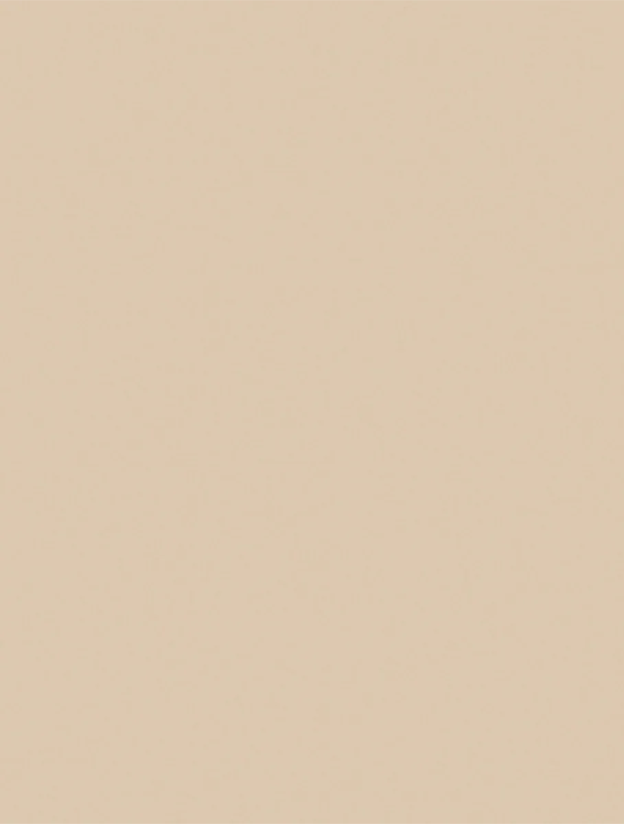 Sandstone 2119