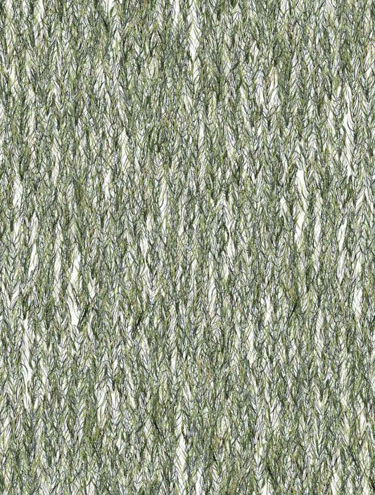 Seaweed