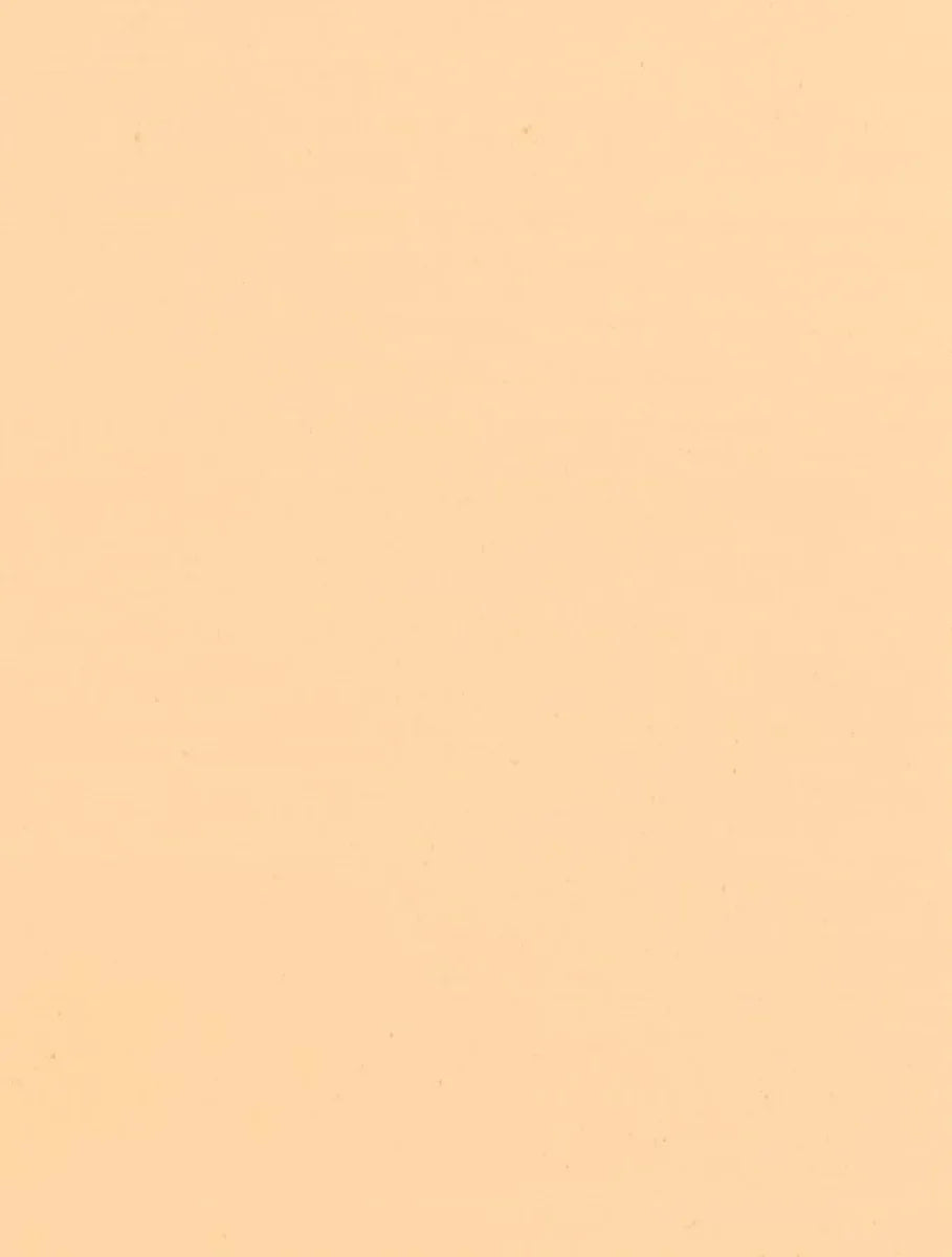 SG-603 Beige