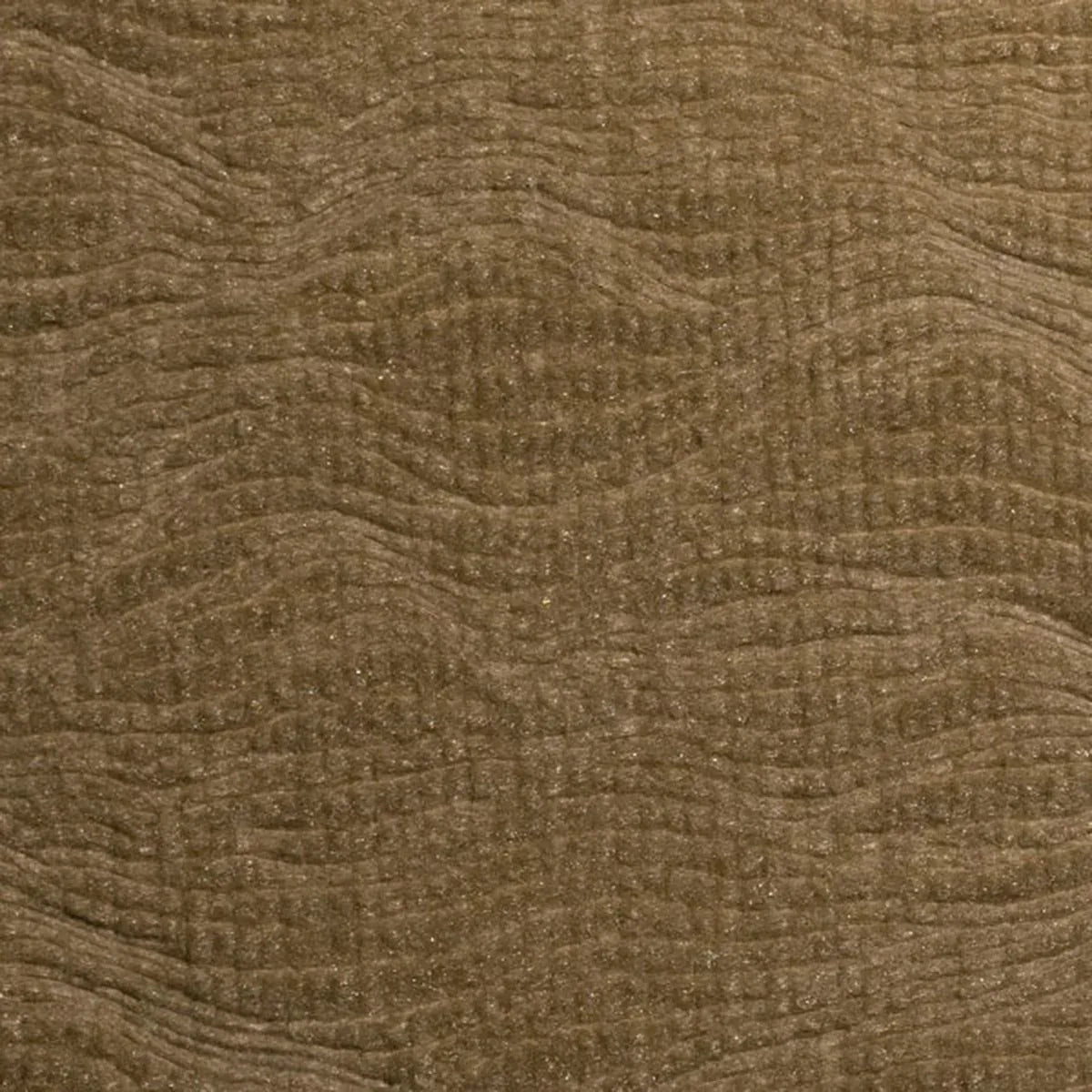 Acoustic Wall Wave