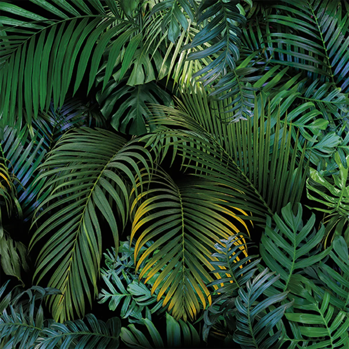 Urban Jungle
