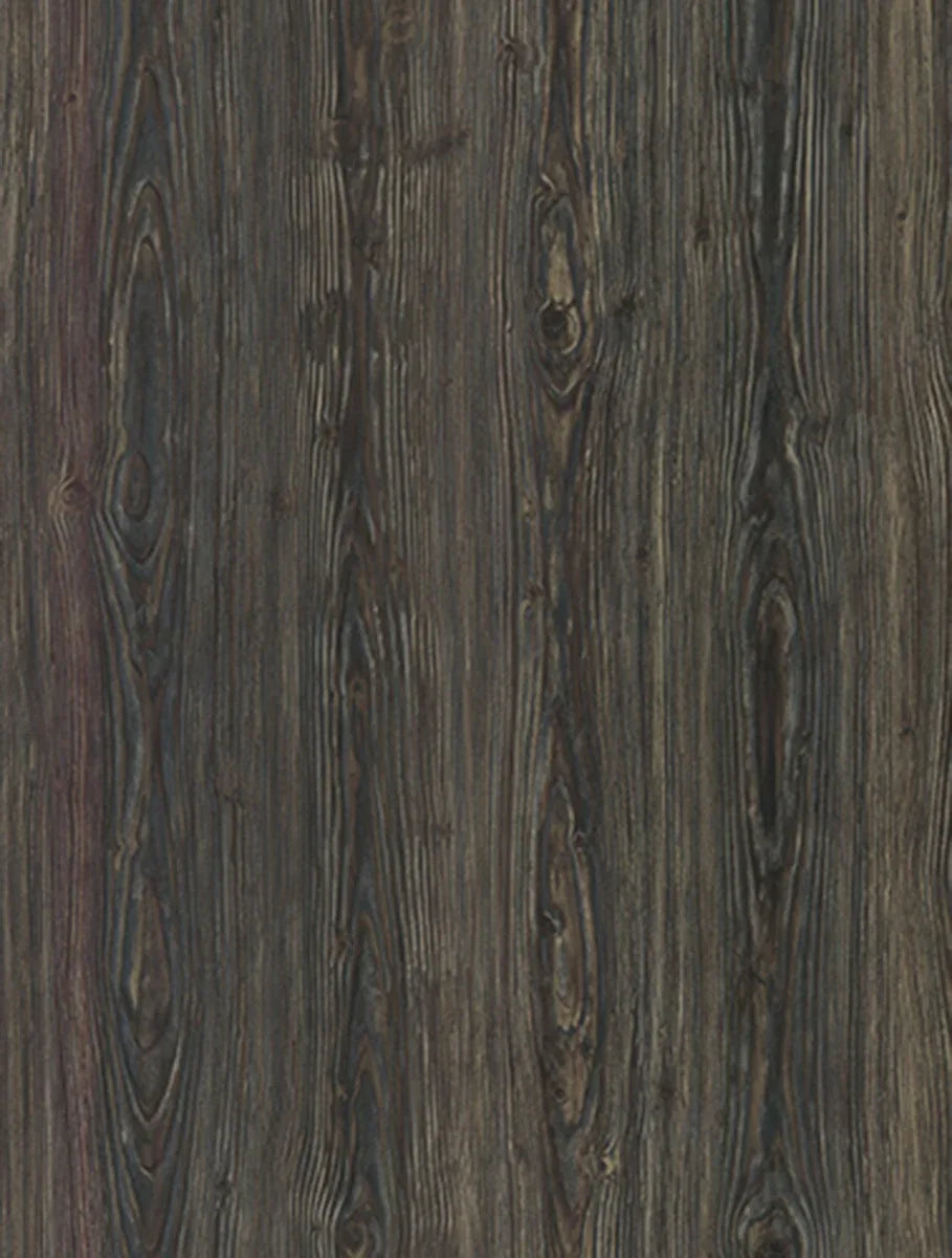 WA-031 Devilish Ebony