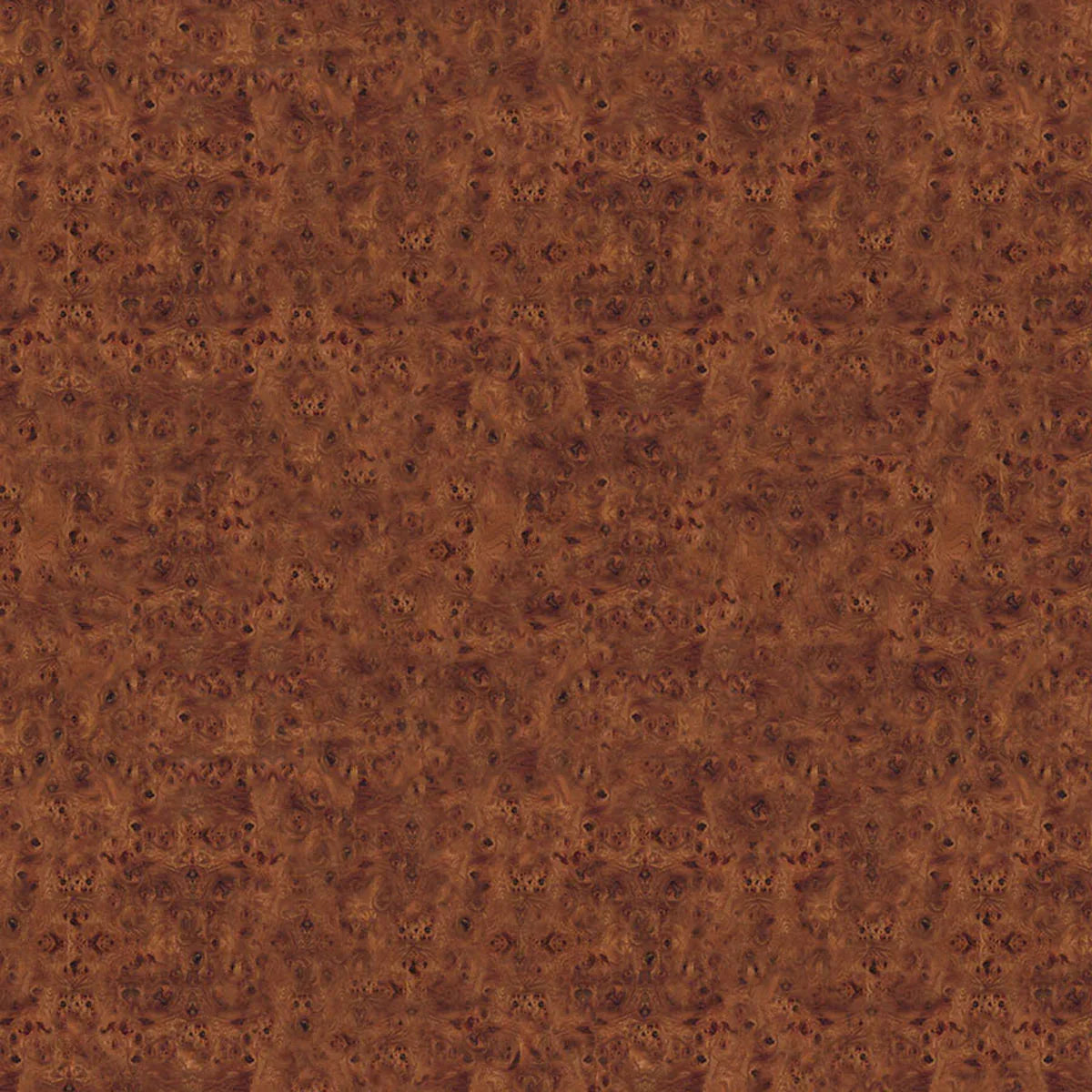 Walnut Burl