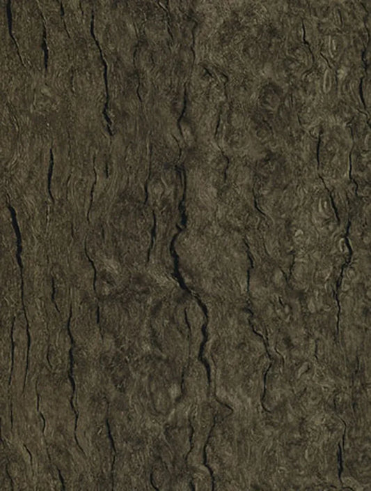 WB-003 Smoke Eucalyptus