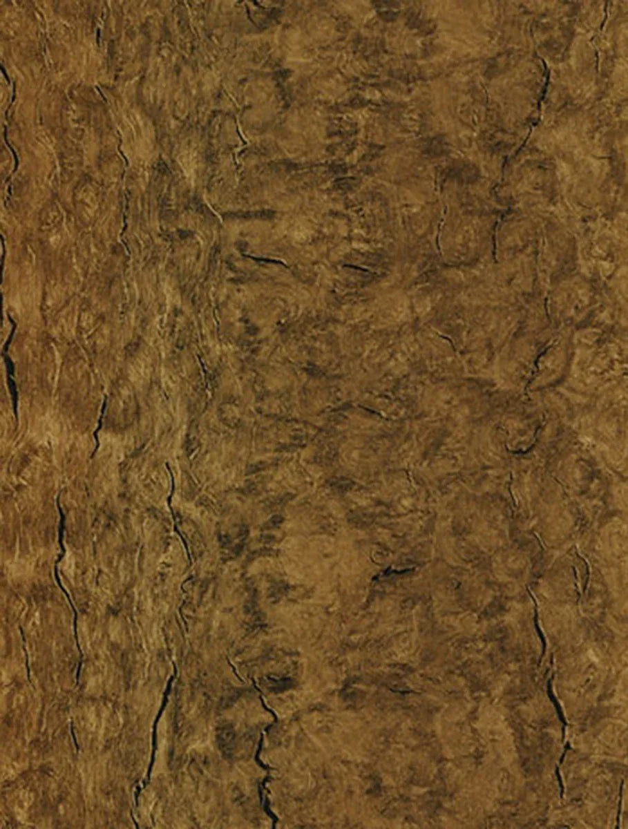WB-005 Caramel Eucalyptus
