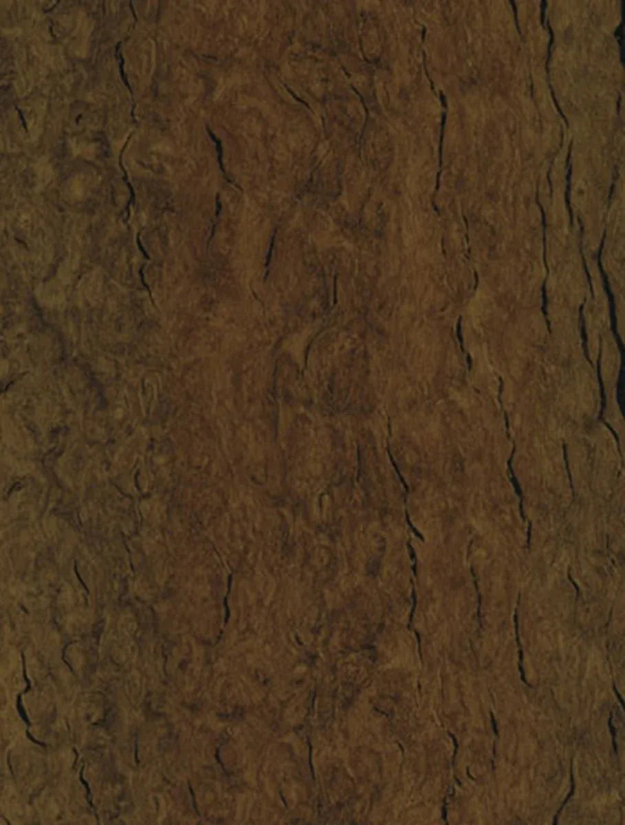 WB-007 Mocha Eucalyptus