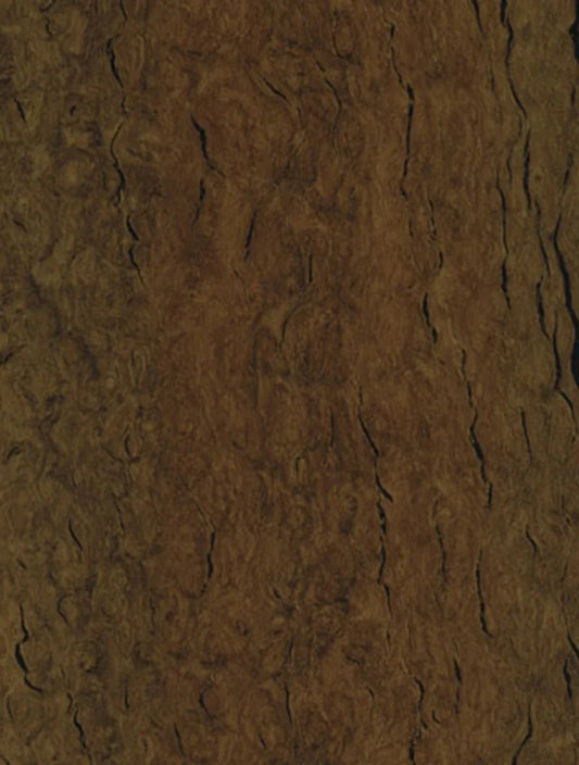 WB-007 Mocha Eucalyptus