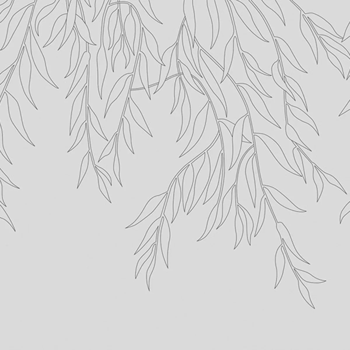 Willow Wisp
