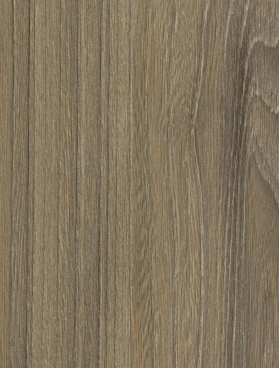 WG-564 Impressive Elm