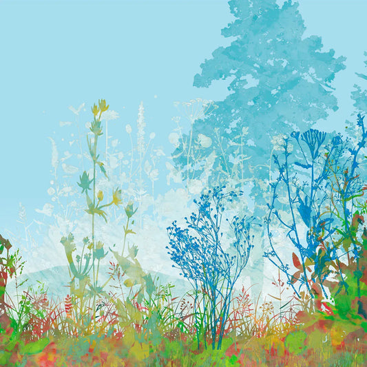 Wildflowers