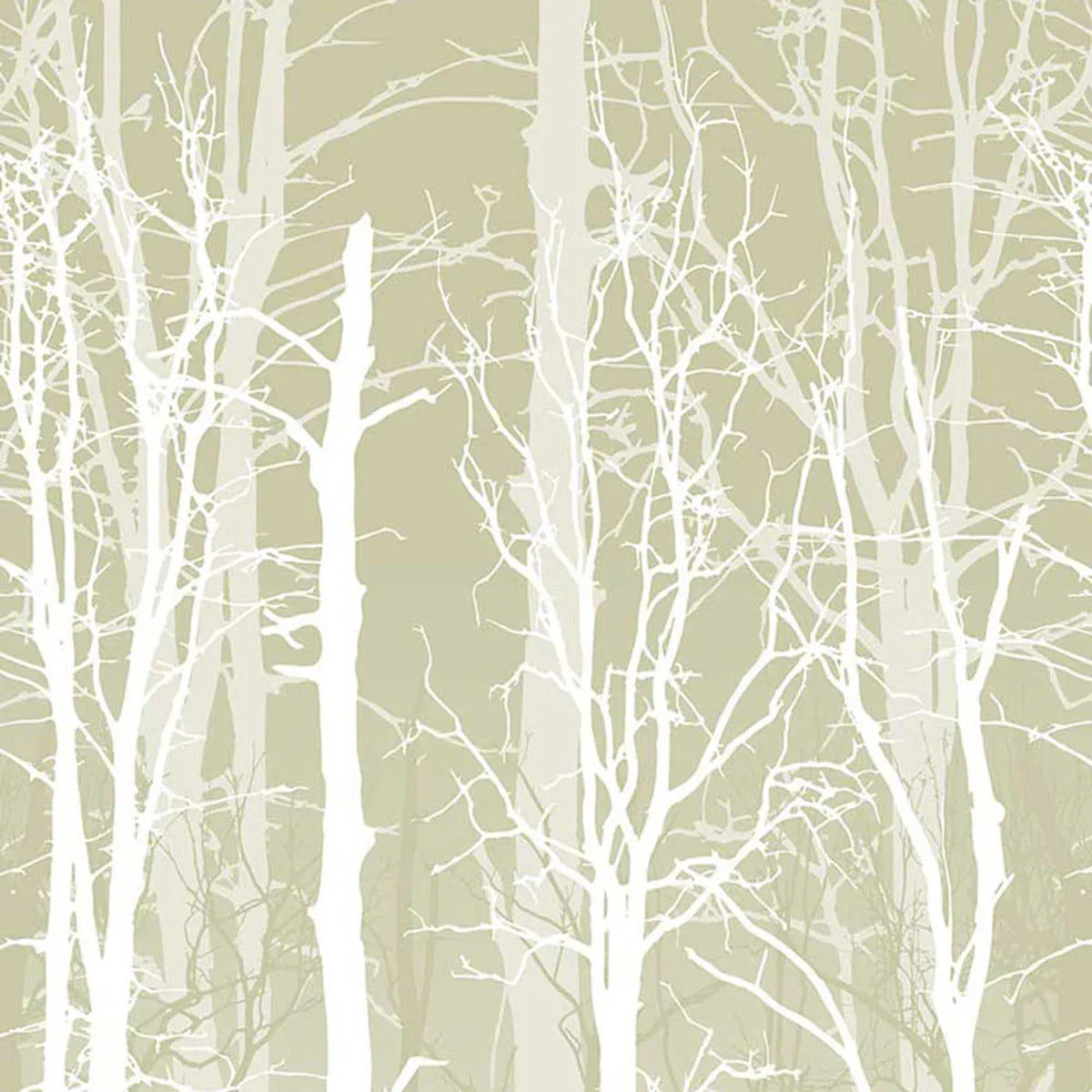 Winter Trees