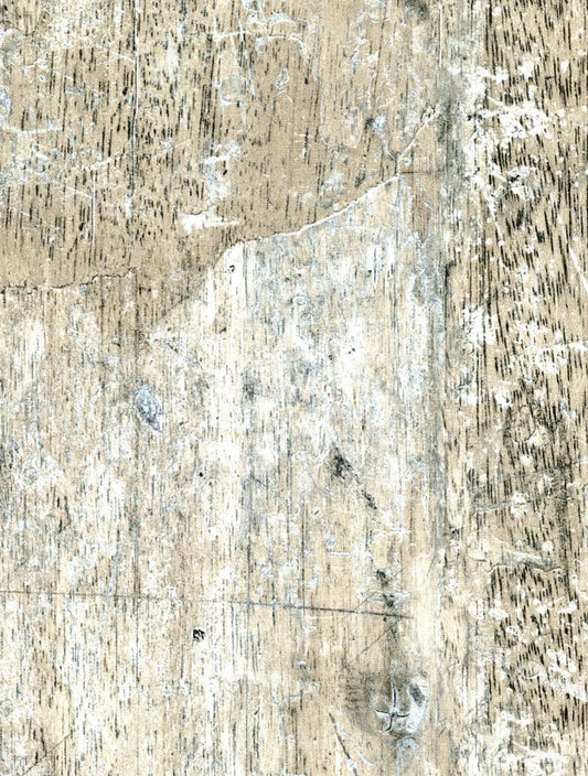 WM-160 Summer Forest Wood