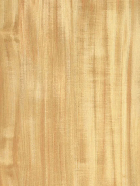 WN-801 Silky Chestnut