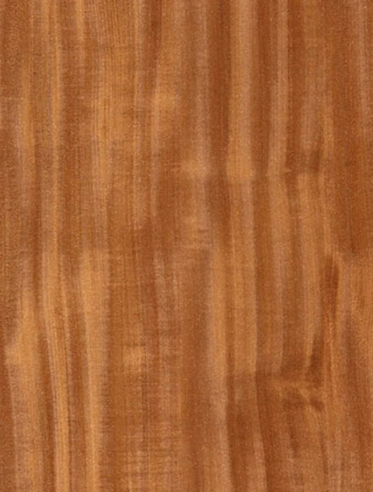 WN-805 Cinnamon Chestnut