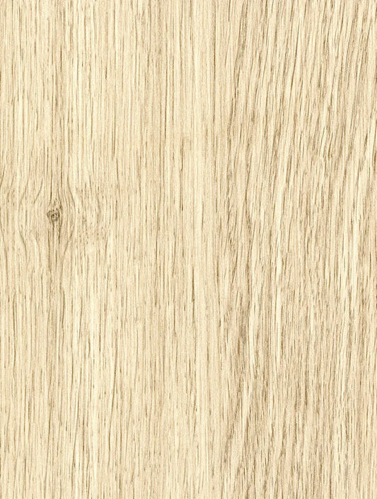 WS-219 Soft Reflections