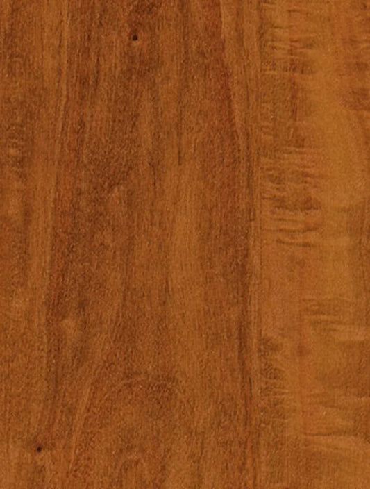 WX-405 Butterscotch Satinwood