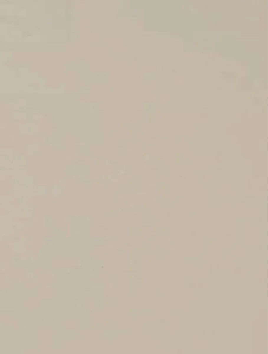 Z104 Beige Grey