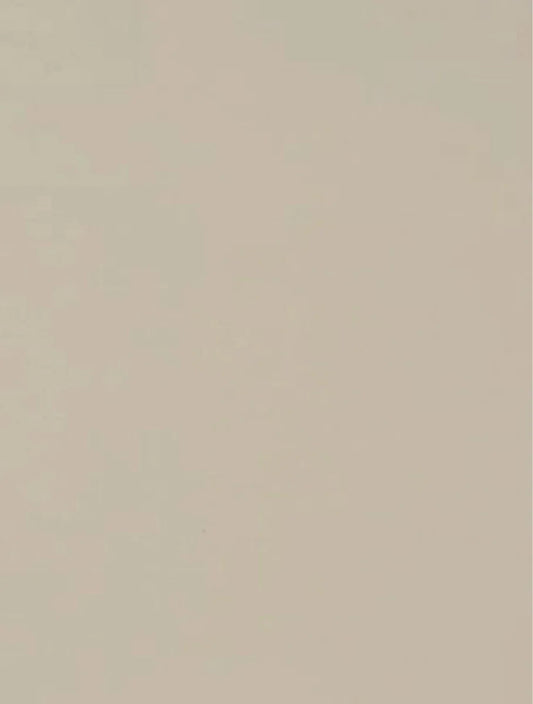 Z104 Beige Grey