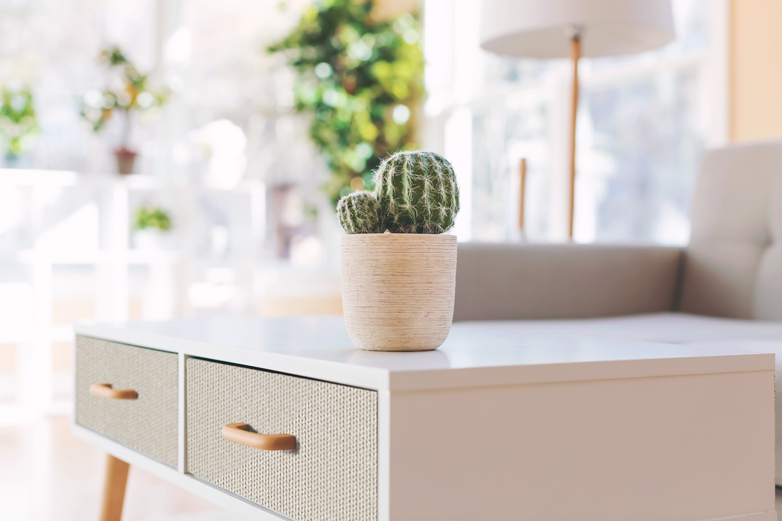 Digital Laminate/YouLab