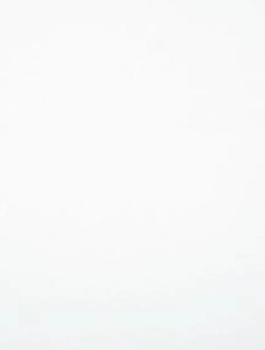 1084 Polar White