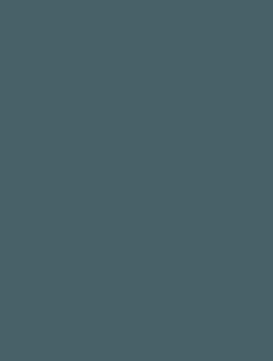 Mist 2251