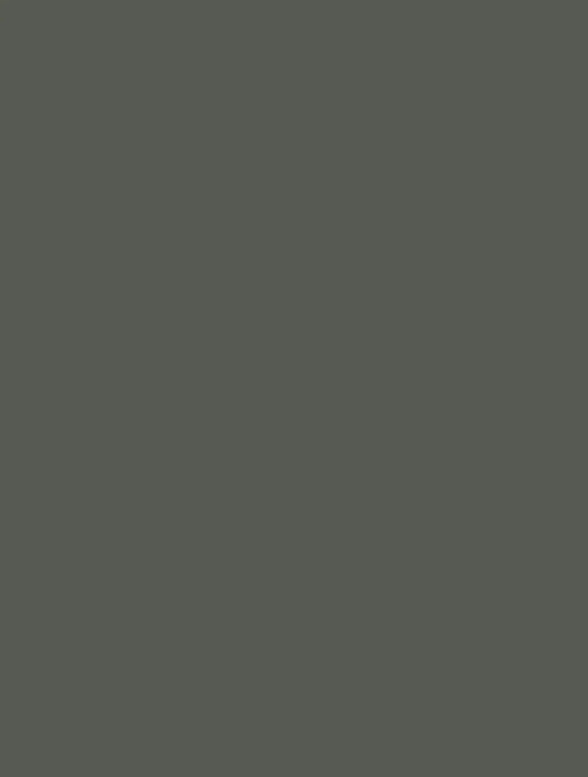 OPAK Forest 2252