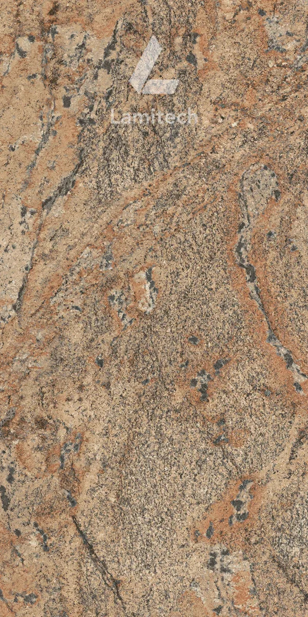 Lapidus 3110