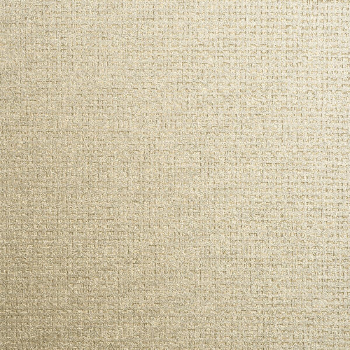 Canvasa