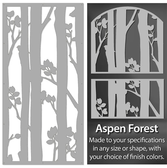 Aspen Forest