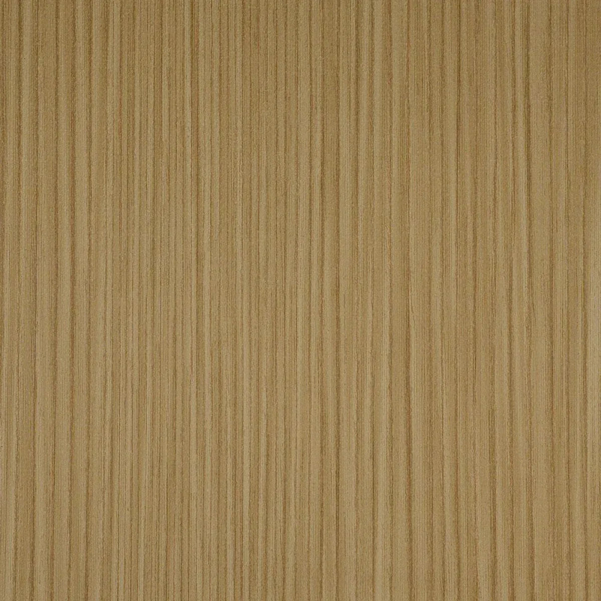 Alpine Loop Material Alpine – Surface Materials