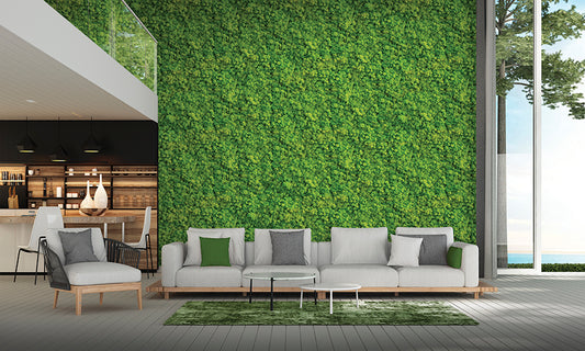 Living Wall