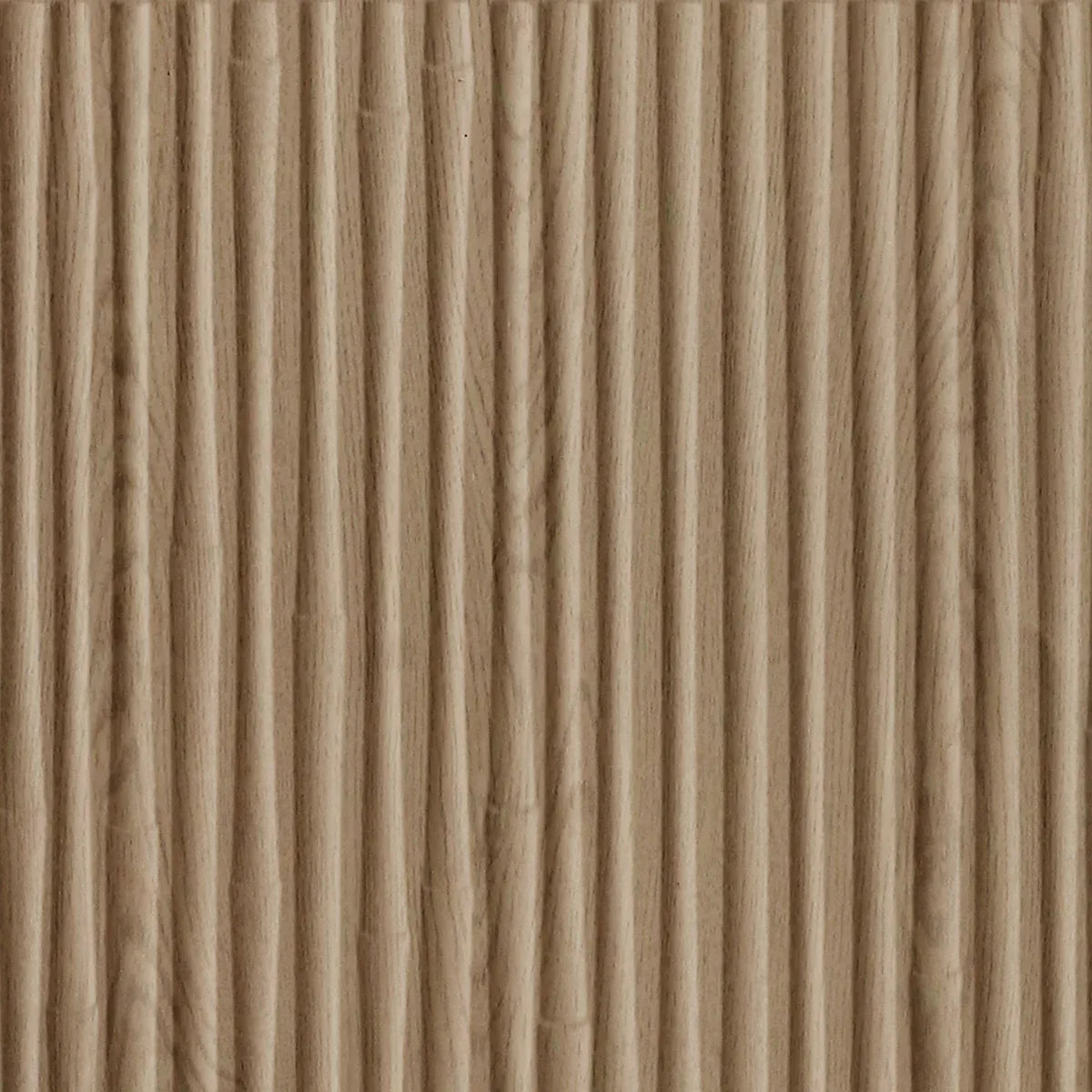 Bamboo
