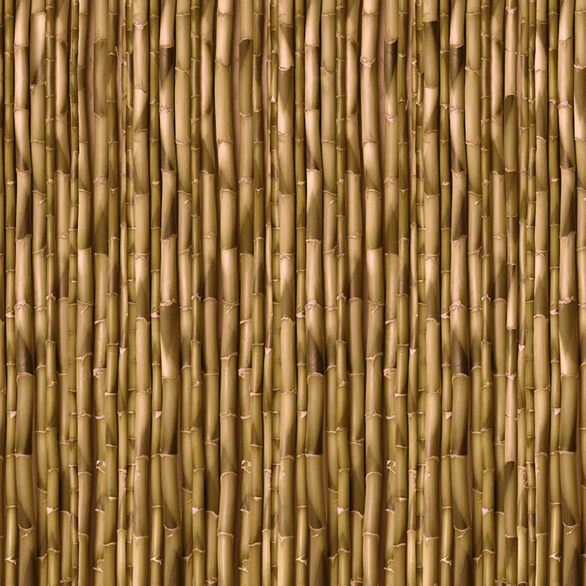 Bamboo