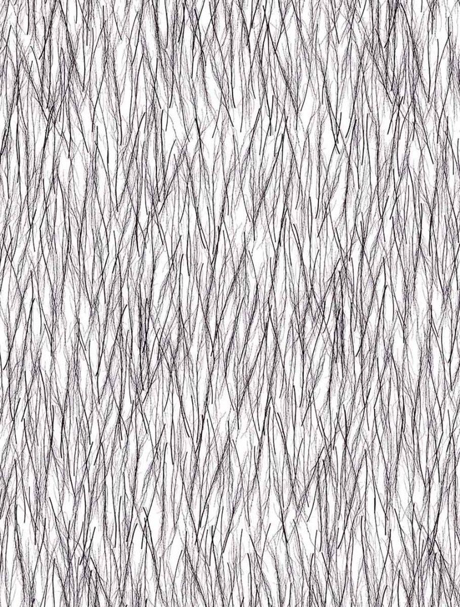 Birch Lux