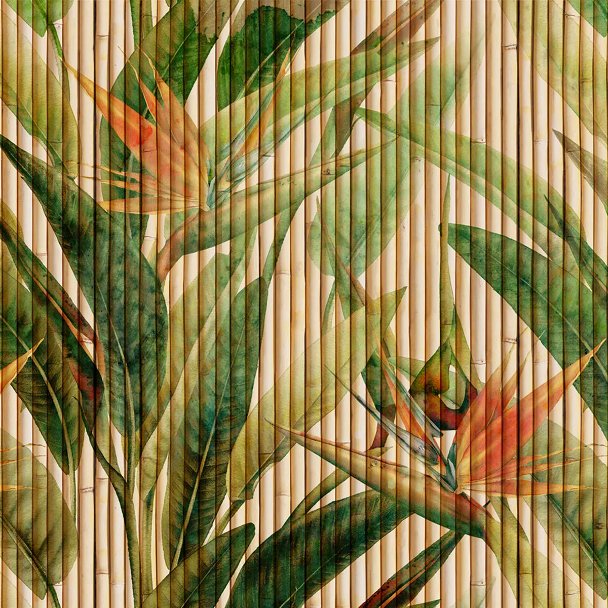 Bird of Paradise
