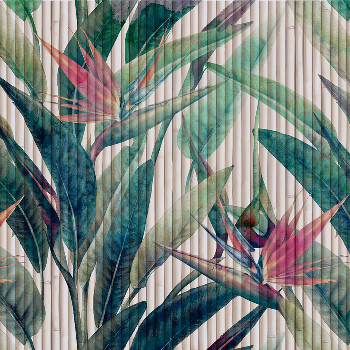 Bird of Paradise