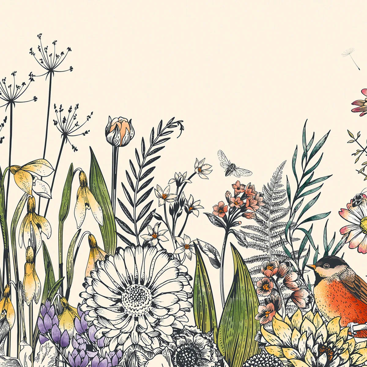Bloom