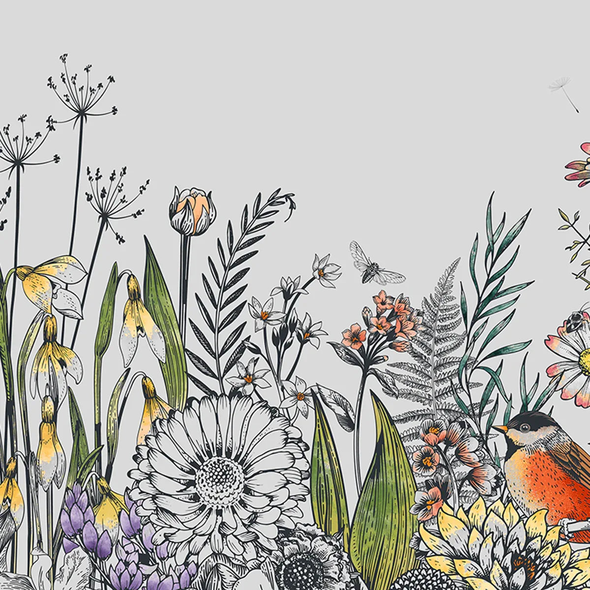 Bloom