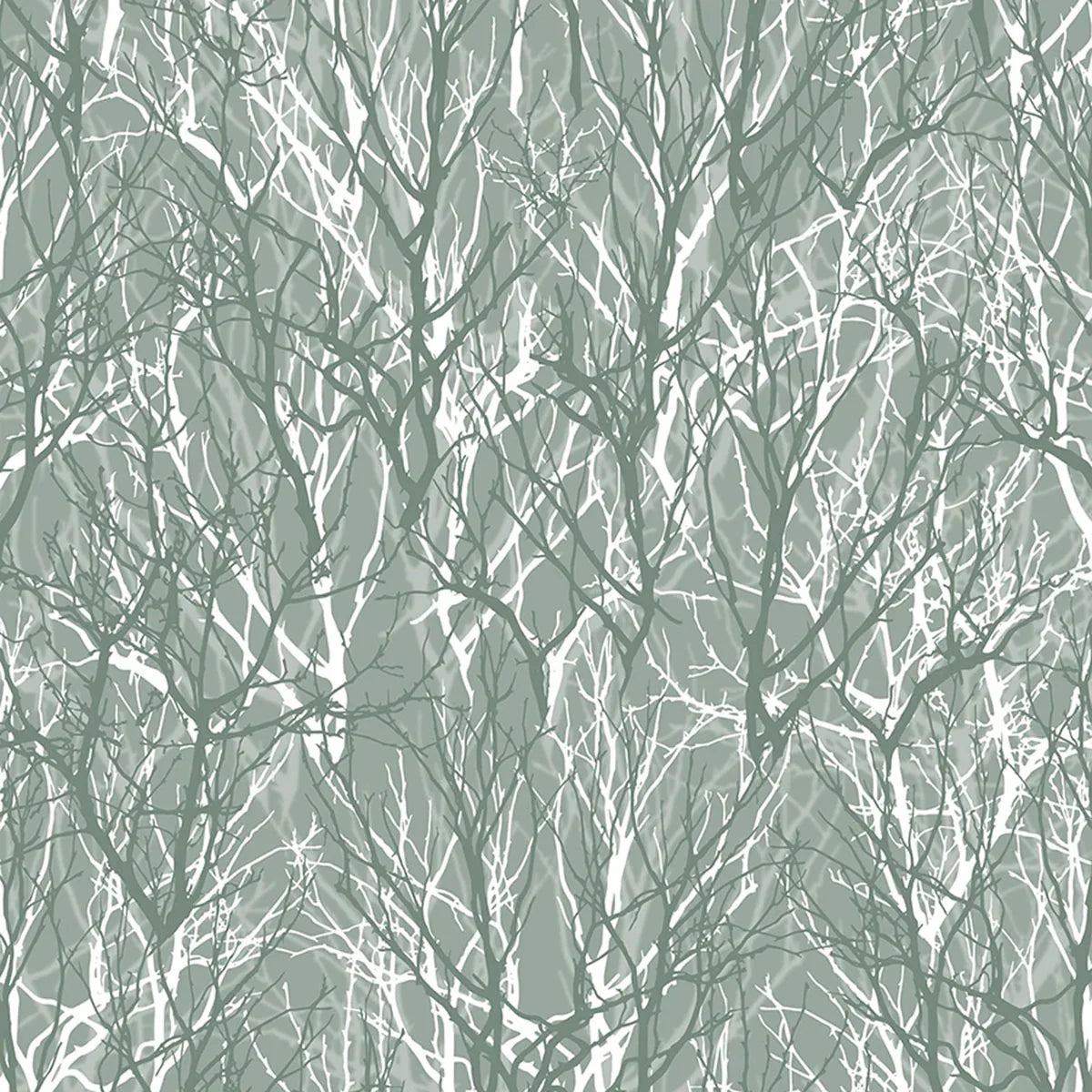 Branching Out