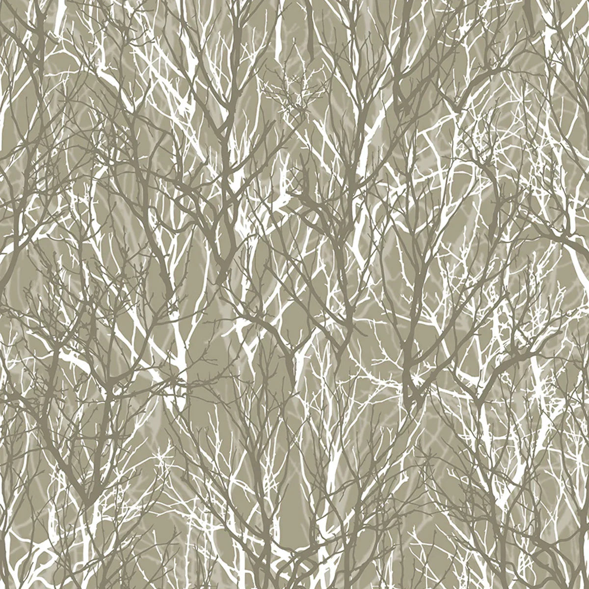 Branching Out